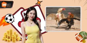 Đá Gà 188BET Sảnh Cược Uy Tín, Chất Lượng Hàng Đầu