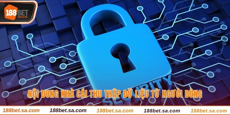 Nội dung nhà cái thu thập dữ liệu từ người dùng
